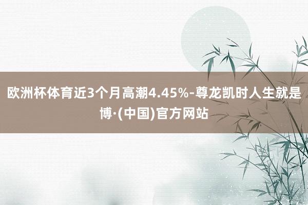 欧洲杯体育近3个月高潮4.45%-尊龙凯时人生就是博·(中国)官方网站